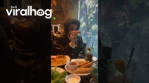 Restaurant-Goer Traumatizes A Fish || ViralHog