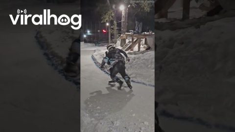 Competitors Collide During Ice Cross World Championship Semifinals || ViralHog