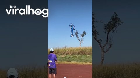 Flying Model Planes || ViralHog