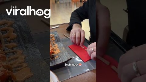 Clever Trick for People Who Struggle With Chopsticks || ViralHog