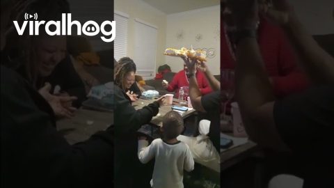 Birthday Cake Drop Sends Party Into Chaos || ViralHog