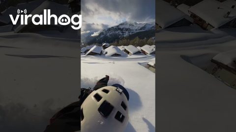Blazing New Trails Through The Snow || ViralHog