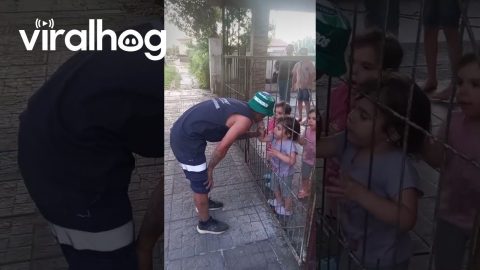 Little Hands Line Up For Kisses || ViralHog