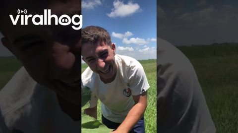 Boyfriend Tries To Be Romantic || ViralHog