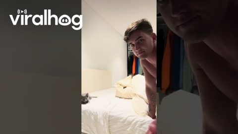 Kitten Won't Let Owner Make The Bed || ViralHog
