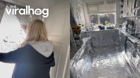 Pranks on Friends and Family || ViralHog