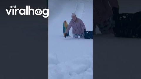 Snowmageddon Is Upon Us || ViralHog
