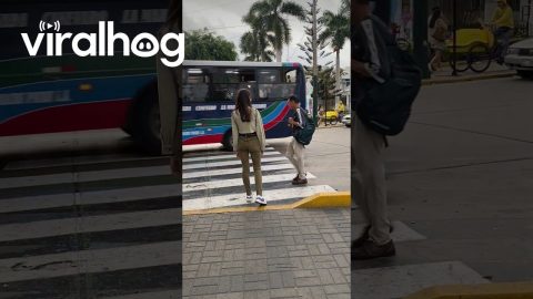 Busy Crosswalks In Peru || ViralHog