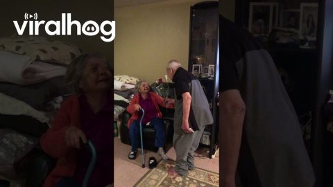 Husband Gives Flowers to Wife of 68 Years on Valentine's Day || ViralHog