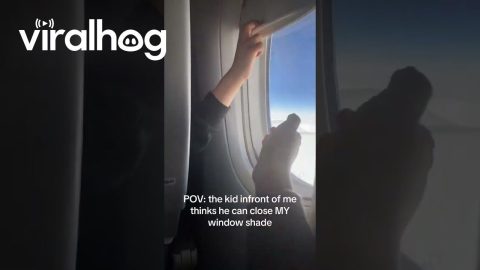POV: The Kid in Front of Me Tries to Close My Window Shade || ViralHog
