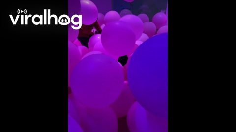 Balloon Room Surrounded by Invisible Glass || ViralHog