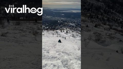 Glissading Down Slippery Slope || ViralHog