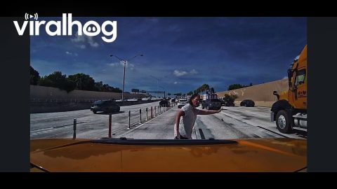 Woman Rescues Baby Opossum From Busy Freeway || ViralHog