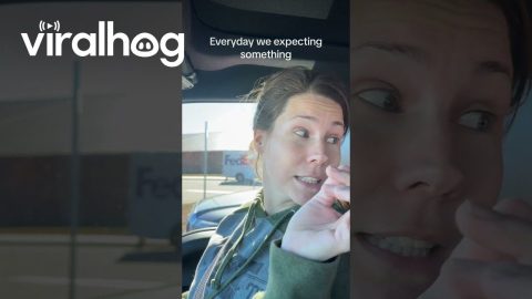 Realistic Expecting Mother || ViralHog