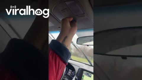 Car Comes With a Convenient Hotdog Holder || ViralHog