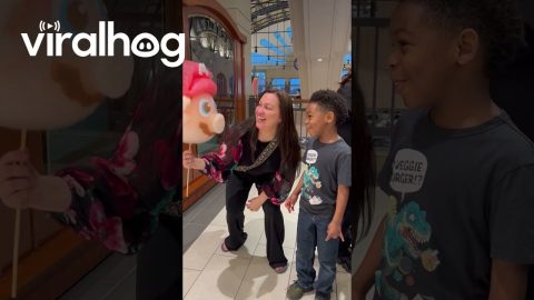 Impressive Cotton Candy Mario Head || ViralHog