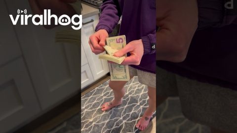 Wife Shows Her Money Counting Skills || ViralHog