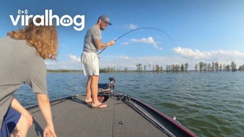 Fish Slaps Sack And Flops Away || ViralHog