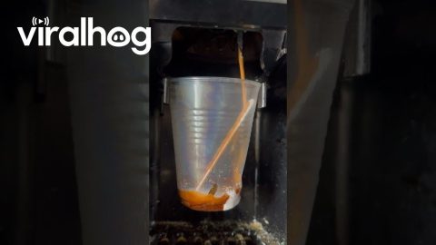 Automatic Coffee Machine Melts Plastic Cup || ViralHog