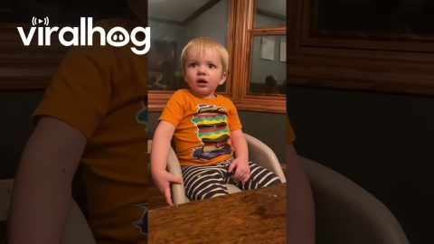 When Your Son Is Already Fed Up With Taxes