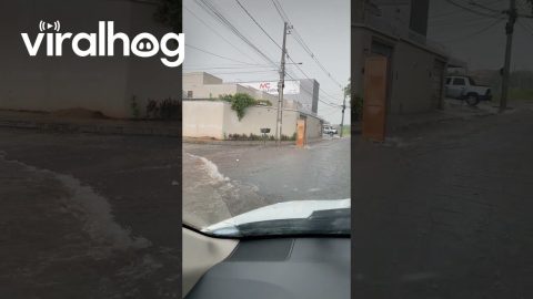 Wardrobe Washes Down the Street with Rain || ViralHog