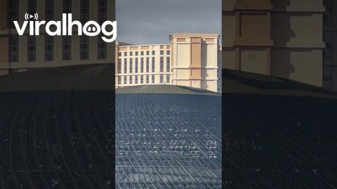 Guy Stands on Top of the Sphere in Las Vegas || ViralHog