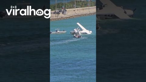 Seaplane Crashes Near the Port of Miami || ViralHog