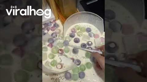 Cold Jelly Shatters Bowl || ViralHog