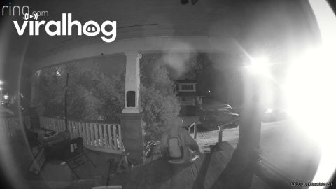 Man Gets Away On Foot || ViralHog