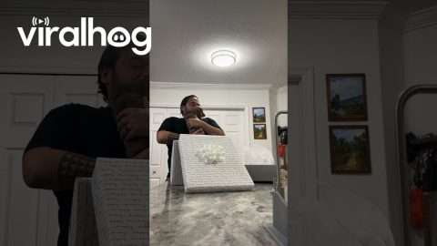 Birthday Man Surprised With Miniature Dachshund || ViralHog