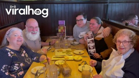 Grandma Doesn't Notice Surprise Pregnancy Announcement || ViralHog