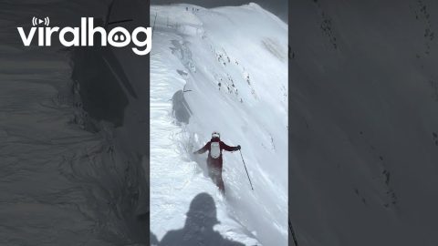 Skier Takes 'Drop In' Too Literally || ViralHog