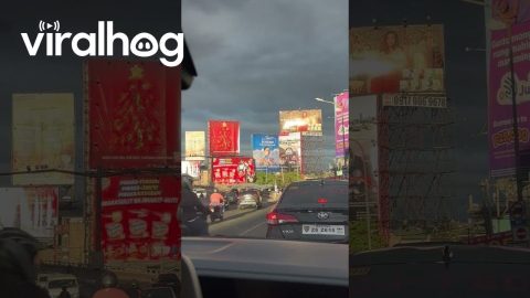 Baygon Billboard Turns Heads || ViralHog
