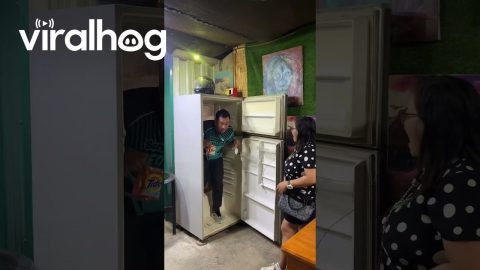 Refrigerator Hidden Door || ViralHog