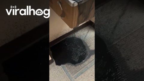 Black Water Pours Out of Drinking Fountain || ViralHog