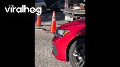 Worker Chucks Brick From Manhole || ViralHog