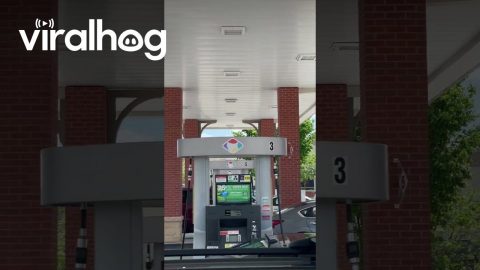 UFO Car Spotted at Gas Station || ViralHog