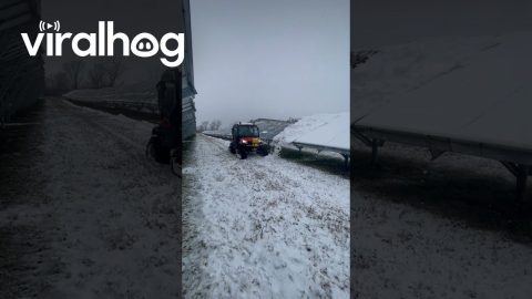 Solar Farm Gets Snowplowed || ViralHog
