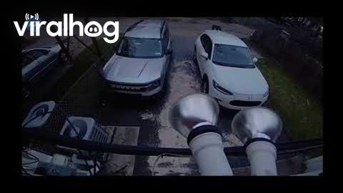 Tree Branch Crushes SUV || ViralHog