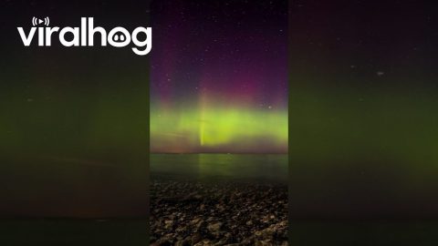 Epic Timelapse of the Northern Lights || ViralHog