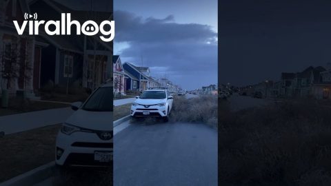 Tumbleweeds Invade Utah Neighborhood || ViralHog