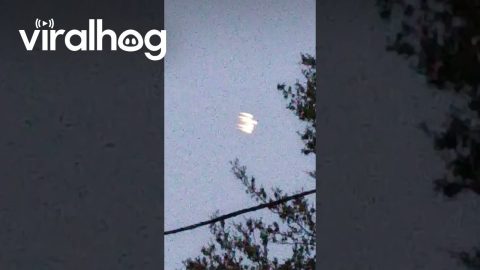 Something in the Sky in Zephyrhills, Florida || ViralHog