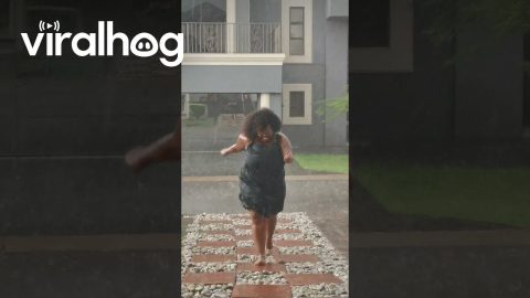 Playing And Slipping In The Rain || ViralHog