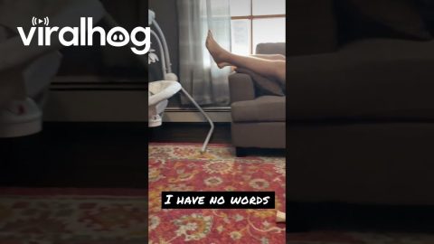 When the New Dad Muscle Memory Starts Kicking In || ViralHog