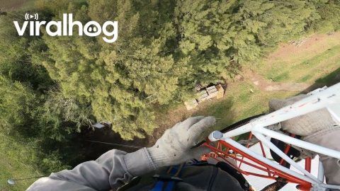 Worker Assembles Telecommunications Tower || ViralHog