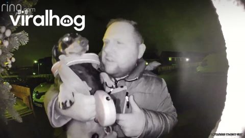 Man Improvises Oompa Loompa Song For His Dog || ViralHog