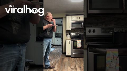 Mom Fools Dad With Real Egg Covered in Chocolate || ViralHog