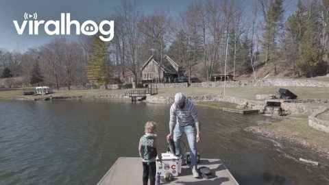 Boy Catches Big Bass With Dad || ViralHog