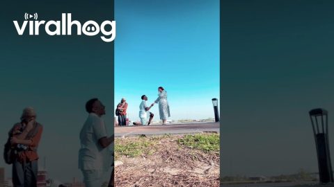 Random Stranger Interrupts Proposal || ViralHog
