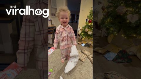 Toothpaste Stocking Stuffer Brings Toddler Happiness || ViralHog